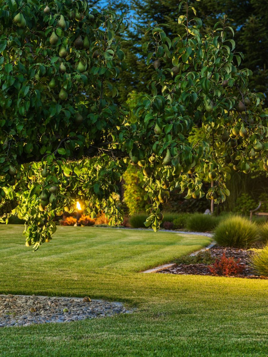 beautiful-landscape-garden-with-outdoor-lights